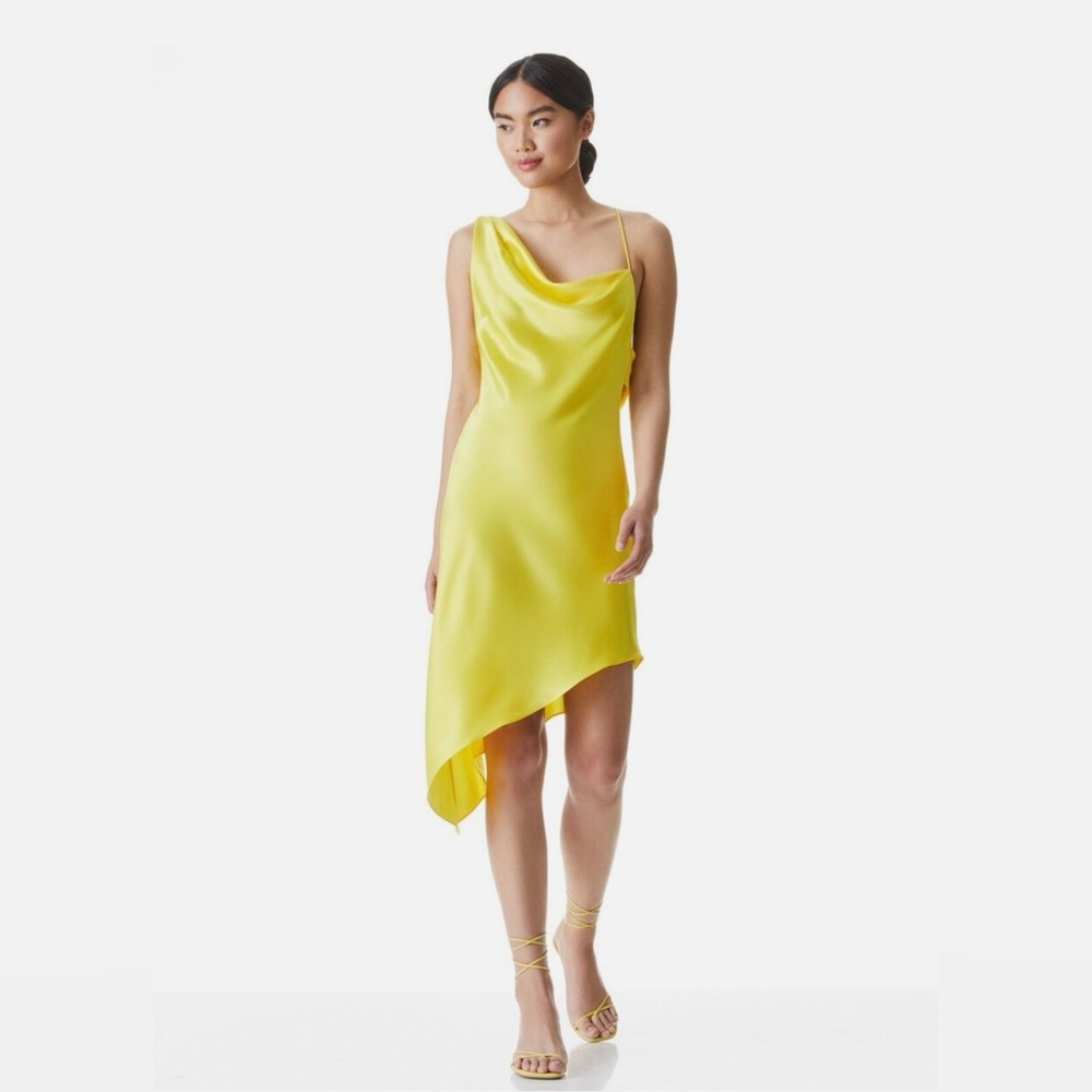 Alice + Olivia Landon Asymmetrical Midi Dress